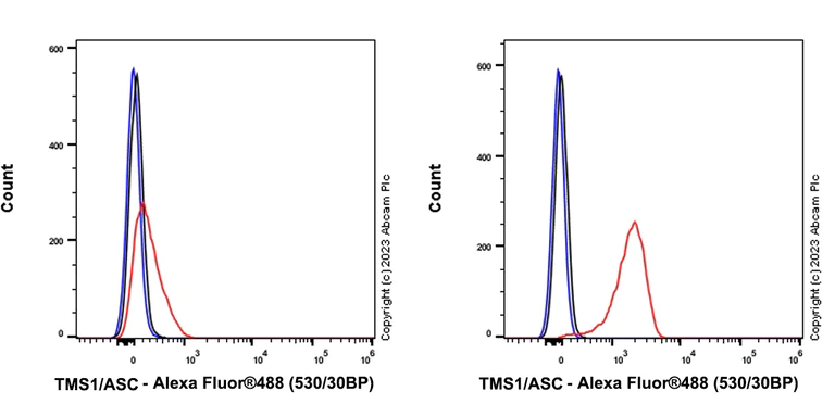 Flow Cytometry (Intracellular) - Anti-TMS1/ASC antibody [RM1049] - BSA and Azide free (AB309498)