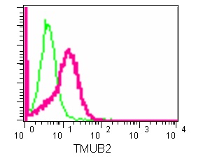 Flow Cytometry (Intracellular) - Anti-TMUB2 antibody [EPR13741] - BSA and Azide free (AB250408)