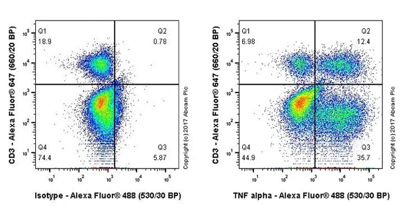 Flow Cytometry (Intracellular) - Anti-TNF alpha antibody [EPR20972] - BSA and Azide free (AB225576)