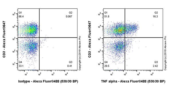 Flow Cytometry (Intracellular) - Anti-TNF alpha antibody [EPR22598-212] (AB255275), expandable thumbnail
