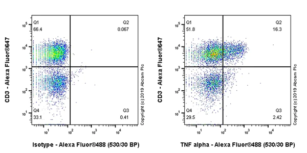 Flow Cytometry (Intracellular) - Anti-TNF alpha antibody [EPR22598-212] - BSA and Azide free (AB255288)