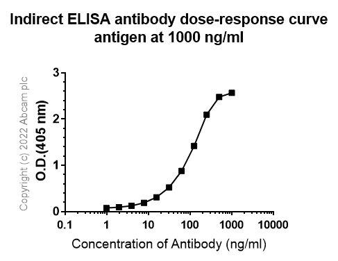 Indirect ELISA - Anti-TNF alpha antibody [RM1005] (AB307164)
