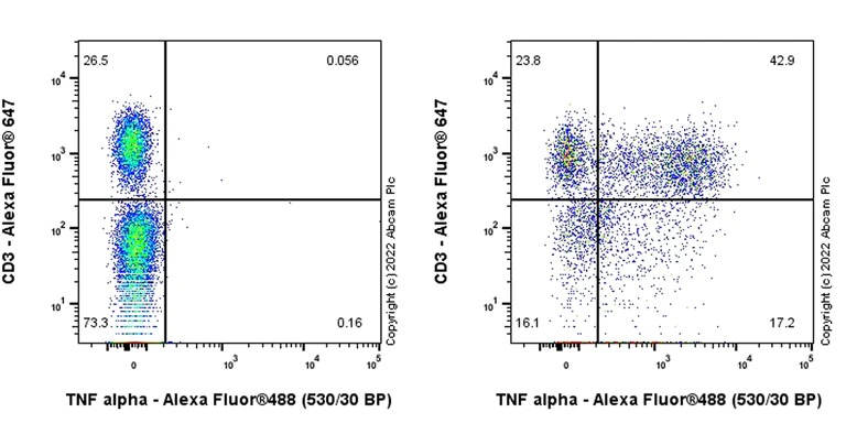 Flow Cytometry (Intracellular) - Anti-TNF alpha antibody [RM1005] - BSA and Azide free (AB307165)