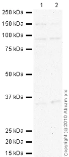 おまとめ【aph47】【fl395】 洗面ドレッシング - ハイ・パーツショップ