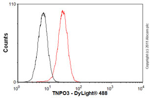 Anti-TNPO3 antibody [3152C2a]
