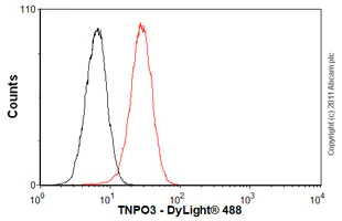 Flow Cytometry - Anti-TNPO3 antibody [3152C2a] (AB54353)