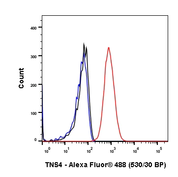 Flow Cytometry (Intracellular) - Anti-TNS4/CTEN antibody [SP83] (AB99887)