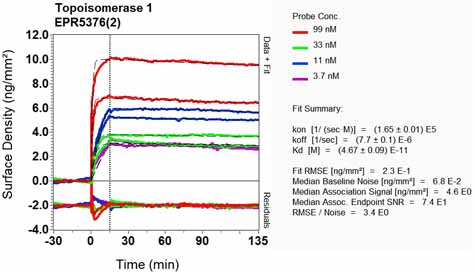 OI-RD Scanning - Anti-Topoisomerase I antibody [EPR5376(2)] (AB131166), expandable thumbnail