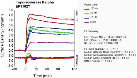 OI-RD Scanning - Anti-Topoisomerase II alpha antibody [EP1102Y] (ab52934), expandable thumbnail