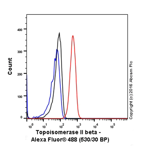 Flow Cytometry (Intracellular) - Anti-Topoisomerase II alpha + Topoisomerase II beta/TOP2B antibody [EPR5377] (AB109524)
