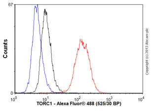 Flow Cytometry (Intracellular) - Anti-TORC1 antibody [EPR3382] - BSA and Azide free (AB247563)