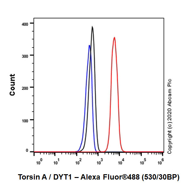 Flow Cytometry (Intracellular) - Anti-Torsin A/DYT1 antibody [EP2569Y] - BSA and Azide free (AB247447)