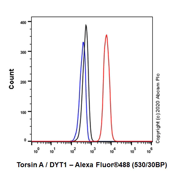 Flow Cytometry (Intracellular) - Anti-Torsin A/DYT1 antibody [EP2569Y] - BSA and Azide free (AB247447)
