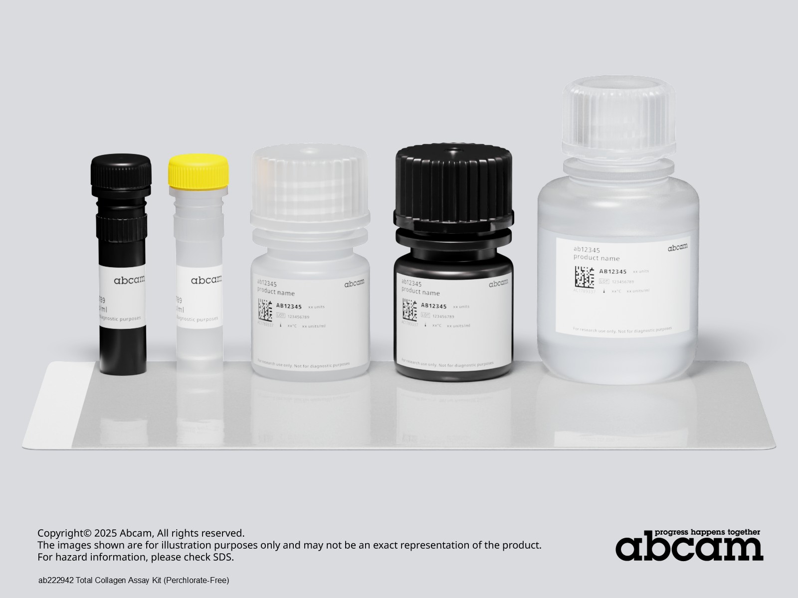 Total Collagen Assay Kit - Hydroxyproline (ab222942) | Abcam