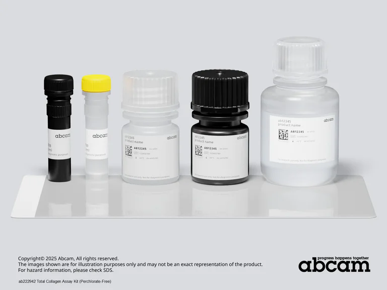 Schematic Diagram - Total Collagen Assay Kit (Perchlorate-Free) (AB222942)