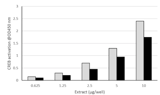 Functional Studies - Total CREB Transcription Factor Assay Kit (Colorimetric) (AB207201)