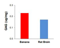 Functional Studies - Total Glycosaminoglycans Assay Kit (Colorimetric) (AB289842)