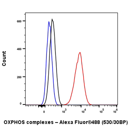 Flow Cytometry (Intracellular) - Anti-Total OXPHOS Antibody Cocktail antibody [RM1134] - BSA and Azide free (AB317271), expandable thumbnail