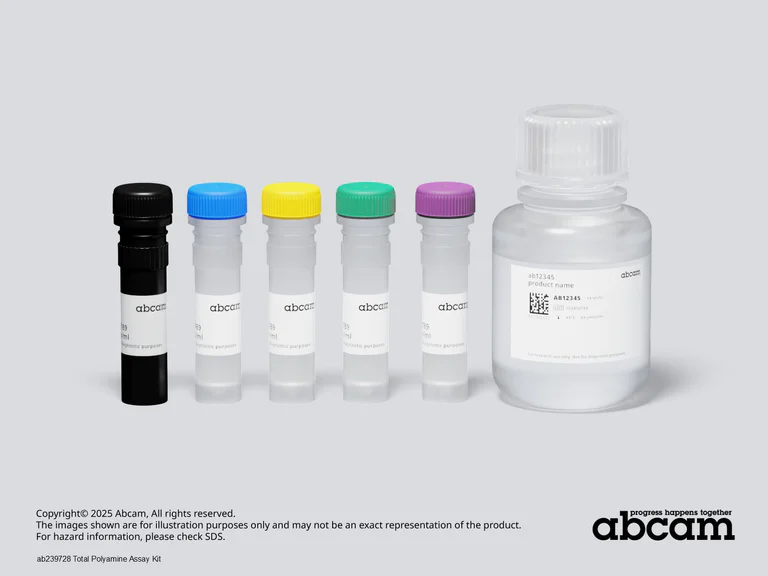 Schematic Diagram - Total Polyamine Assay Kit (AB239728)