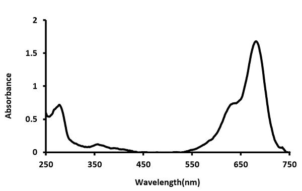 Functional Studies - Total Protein Thiol Assay Kit (Colorimetric) (AB219272)