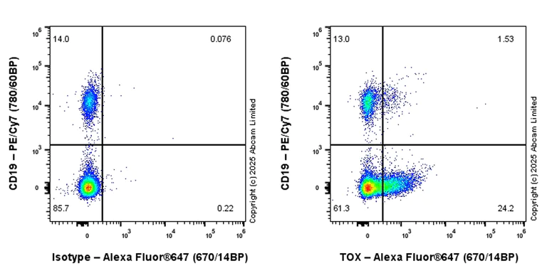 Flow Cytometry (Intracellular) - Anti-TOX antibody [EPR28108-10] (AB322259)
