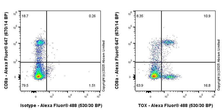 Flow Cytometry (Intracellular) - Anti-TOX antibody [EPR28108-10] - BSA and Azide free (AB324784)
