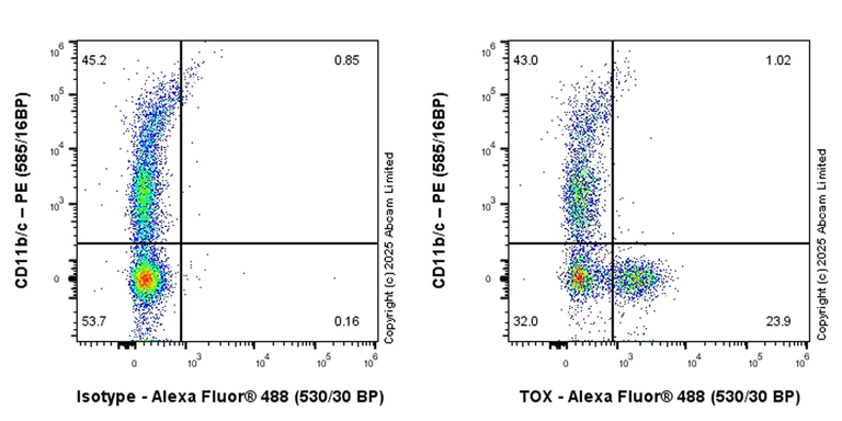 Flow Cytometry (Intracellular) - Anti-TOX antibody [EPR28108-10] - BSA and Azide free (AB324784)