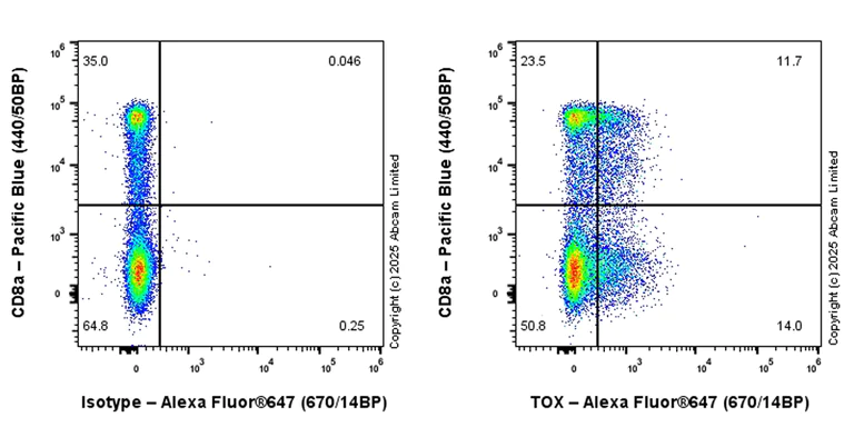 Flow Cytometry (Intracellular) - Anti-TOX antibody [EPR28108-10] - BSA and Azide free (AB324784)