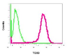 Flow Cytometry (Intracellular) - Anti-TOX3 antibody [EPR6173(2)(B)] - BSA and Azide free (AB248997), expandable thumbnail