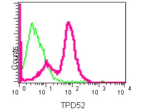 Flow Cytometry (Intracellular) - Anti-TPD52 antibody [EPR14219] - BSA and Azide free (AB250473)