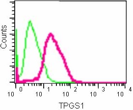 Flow Cytometry (Intracellular) - Anti-TPGS1 antibody [EPR14324] - BSA and Azide free (AB250733)