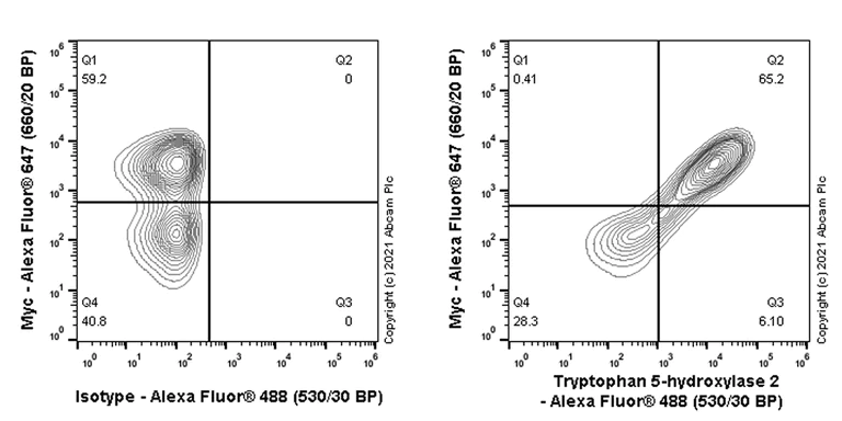 Flow Cytometry - Anti-TPH2 antibody [EPR25100-29] - BSA and Azide free (AB288068)