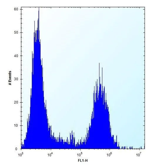 Flow Cytometry (Intracellular) - Anti-TPM4 antibody - N-terminal (AB230880)
