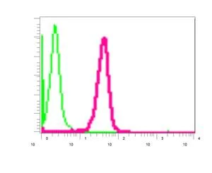 Flow Cytometry (Intracellular) - Anti-TPMT antibody [EPR10820(B)] (AB155284)