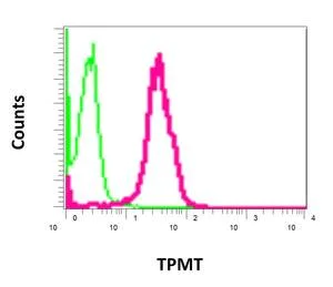 Flow Cytometry (Intracellular) - Anti-TPMT antibody [EPR10821(B)] (AB166909)