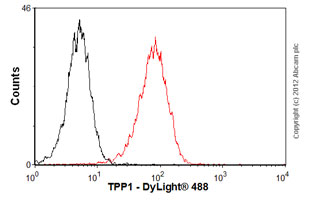 Anti-TPP1 antibody [3B1]