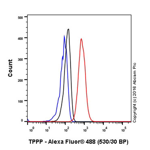 Flow Cytometry (Intracellular) - Anti-TPPP antibody [EPR3316] - BSA and Azide free (ab238958), expandable thumbnail