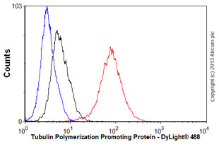 Flow Cytometry (Intracellular) - Anti-TPPP antibody [EPR3316] - BSA and Azide free (AB238958), expandable thumbnail