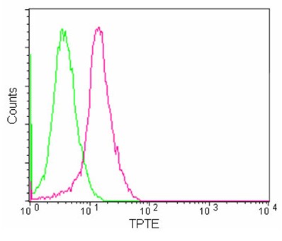 Flow Cytometry (Intracellular) - Anti-TPTE antibody [EPR11867(2)] - BSA and Azide free (AB250148), expandable thumbnail