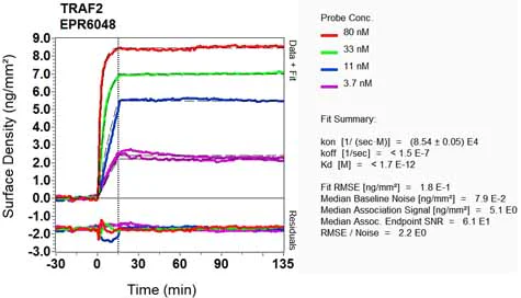 OI-RD Scanning - Anti-TRAF2 antibody [EPR6048] - BSA and Azide free (AB230795)