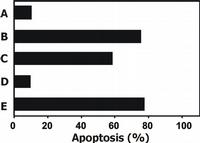 Functional Studies - Anti-TRAIL antibody [2E5] (AB2219)