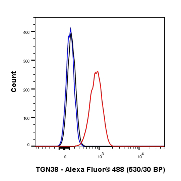 Flow Cytometry (Intracellular) - Anti-Trans-Golgi network integral membrane protein 1 antibody [EPR24831-36] (ab283678), expandable thumbnail