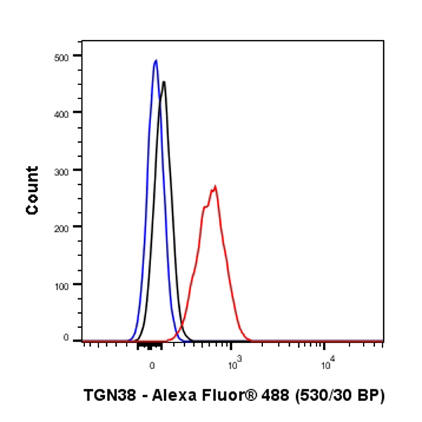Flow Cytometry (Intracellular) - Anti-Trans-Golgi network integral membrane protein 1 antibody [EPR24831-36] (ab283678), expandable thumbnail