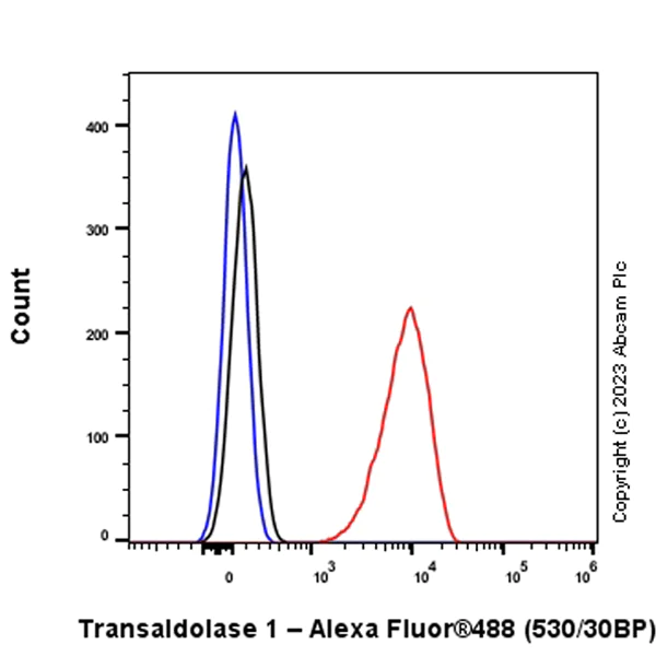 Flow Cytometry (Intracellular) - Anti-Transaldolase 1 antibody [EPR28140-51] - BSA and Azide free (AB315024)
