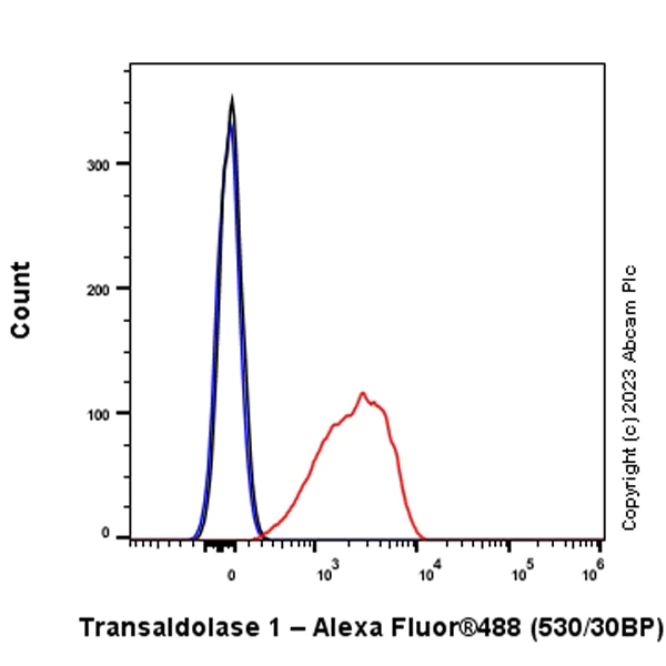 Flow Cytometry (Intracellular) - Anti-Transaldolase 1 antibody [EPR28140-51] - BSA and Azide free (AB315024)