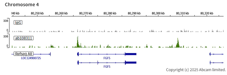 ChIC/CUT&RUN sequencing - Anti-Transcription factor AP-2-alpha antibody [EPR2688(2)] (AB108311)