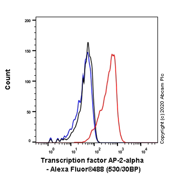 Flow Cytometry (Intracellular) - Anti-Transcription factor AP-2-alpha antibody [EPR2688(2)] (AB108311), expandable thumbnail