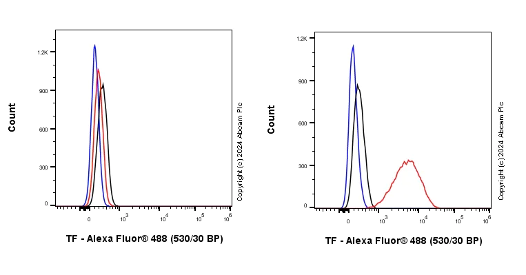 Flow Cytometry (Intracellular) - Anti-Transferrin antibody [EPR24383-68] - BSA and Azide free (Detector) (AB277685)