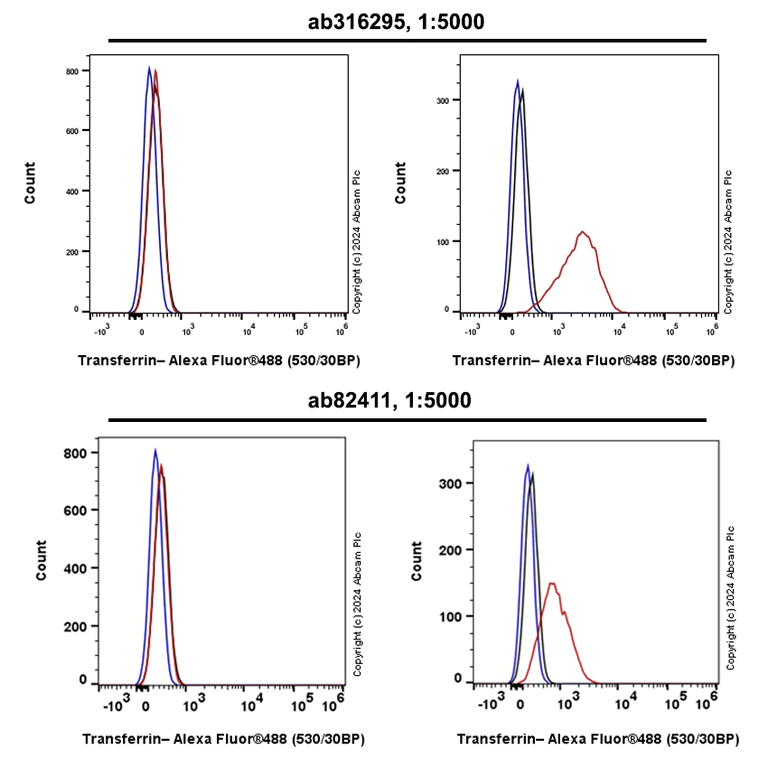 Flow Cytometry (Intracellular) - Anti-Transferrin antibody [RM1092] - Serum Loading Control (AB316295)
