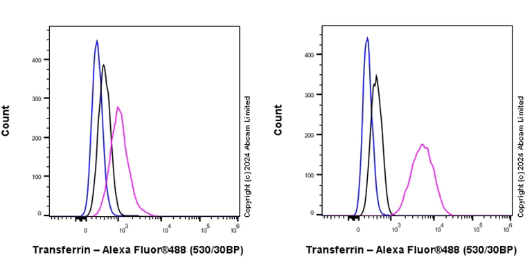 Flow Cytometry (Intracellular) - Anti-Transferrin antibody [RM2060] - BSA and Azide free (AB318998)